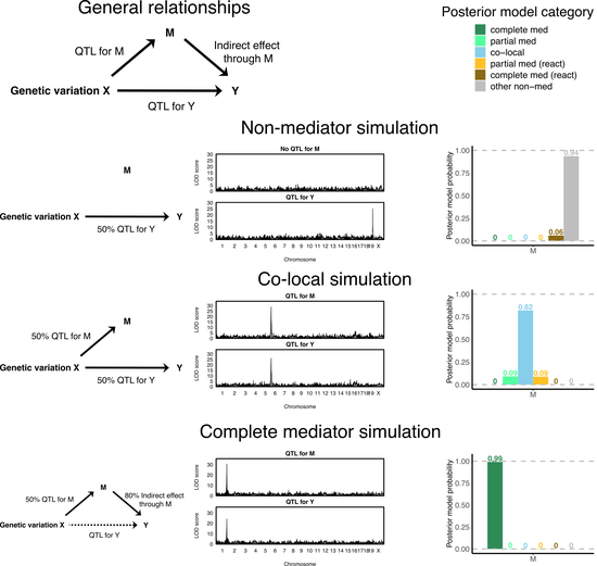 A Bayesian model selection approach to mediation analysis