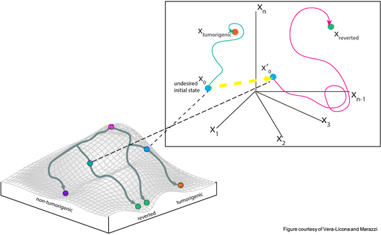 A quantitative pipeline for the identification of combinations of targets for claudin-low triple negative breast cancer reversion